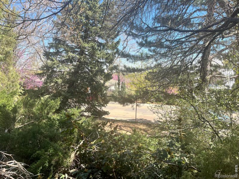 2843 4th St, Boulder, CO 80304