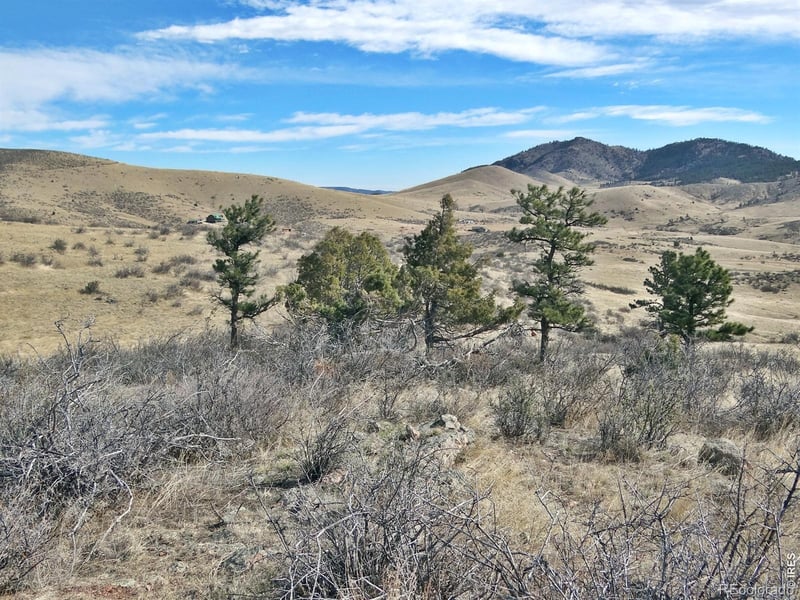 0 Gordon Creek Ln, Livermore, CO 80536