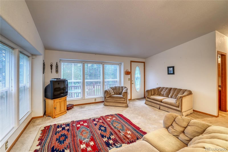 10 Stuart Vista Ct, Idaho Springs, CO 80452