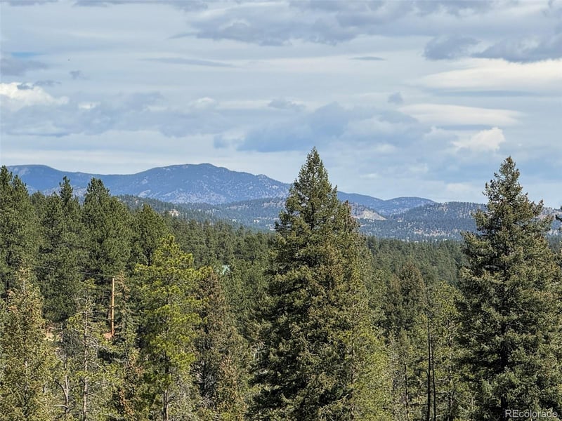 6845 Lynx Lair Rd, Evergreen, CO 80439