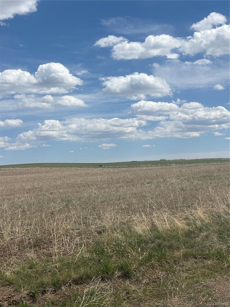 57075 E Maplewood Pl, Strasburg, CO 80136