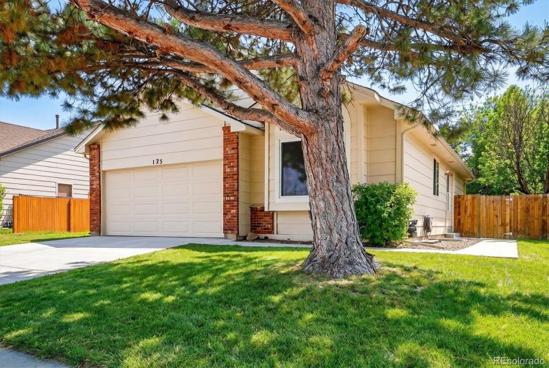 125 N Holcomb St, Castle Rock, CO 80104