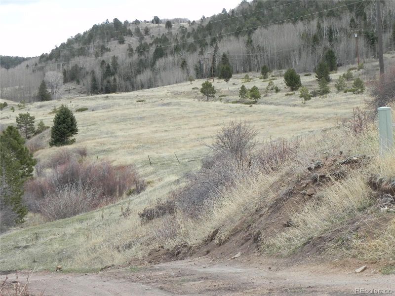 521 Monarch Dr, Cripple Creek, CO 80813