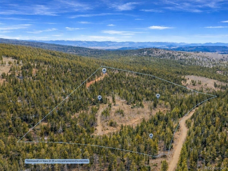 000 Beaver Creek Rd Lot 30 & 31, Alma, CO 80420