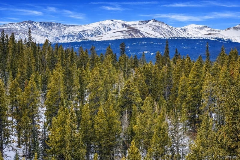 000 Beaver Creek Rd Lot 30 & 31, Alma, CO 80420