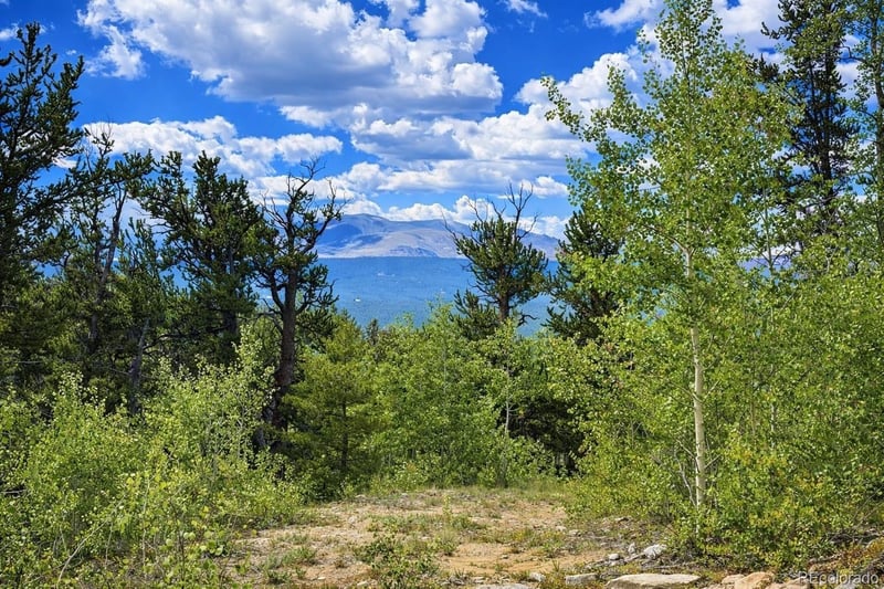 000 Beaver Creek Rd Lot 30 & 31, Alma, CO 80420