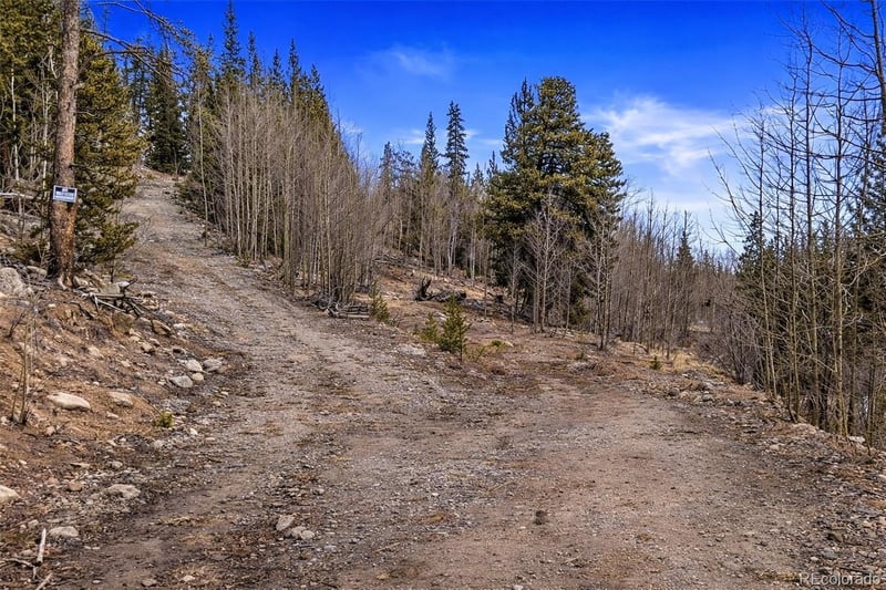 000 Beaver Creek Rd Lot 30 & 31, Alma, CO 80420