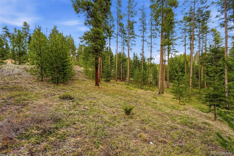 930 Gcr 511/golf Course Cir, Tabernash, CO 80478