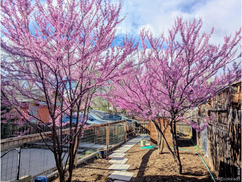 716 Maple St #A & B, Fort Collins, CO 80521