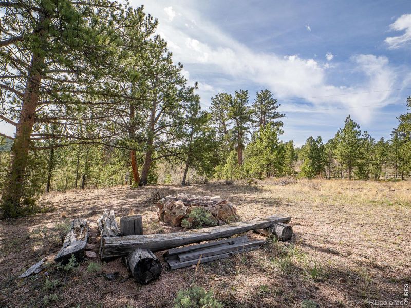 384 Ute Ct, Red Feather Lakes, CO 80545