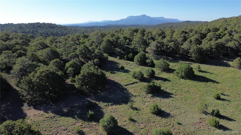 16198 Picketwire Rd, Trinidad, CO 81024