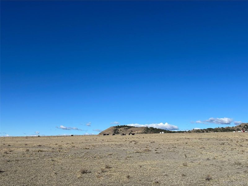 4558 Clear Creek Rd, Hartsel, CO 80449