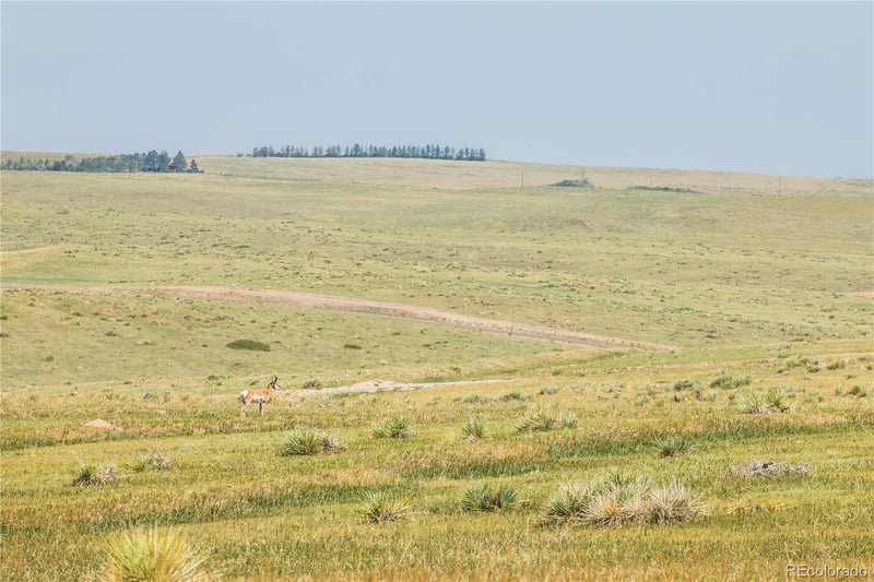 0 Wendling Trail Lot 50 Lot 50, Kiowa, CO 80117