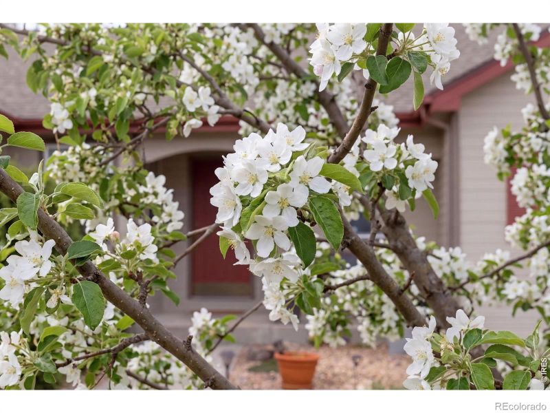 3027 Indigo Ct, Fort Collins, CO 80528