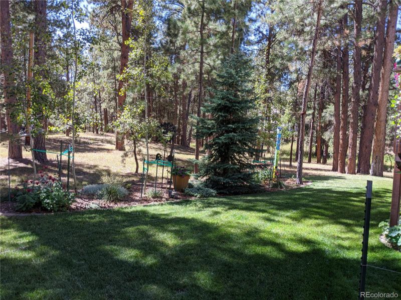 19015 Royal Archers Ln, Monument, CO 80132