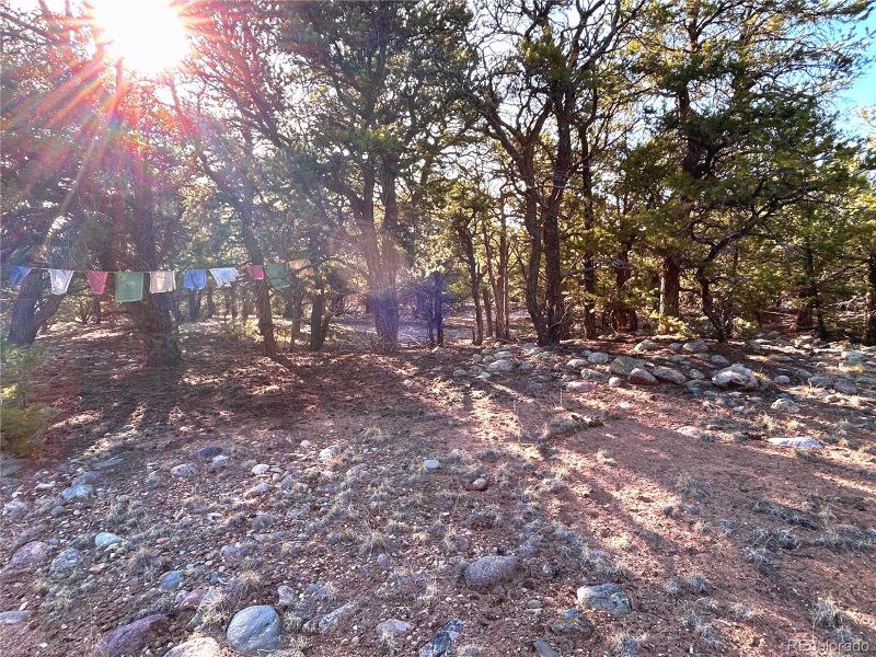 3821 Virtue Way, Crestone, CO 81131