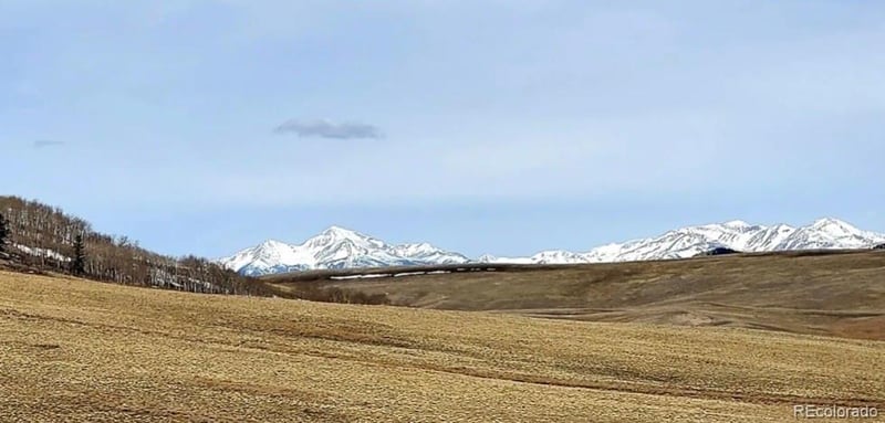1245 Coochee Trl, Guffey, CO 80820