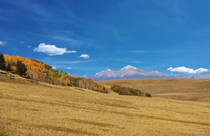 1245 Coochee Trl, Guffey, CO 80820