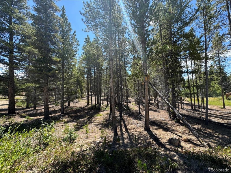 334 Baby Doe Dr Lot 20, Leadville, CO 80461