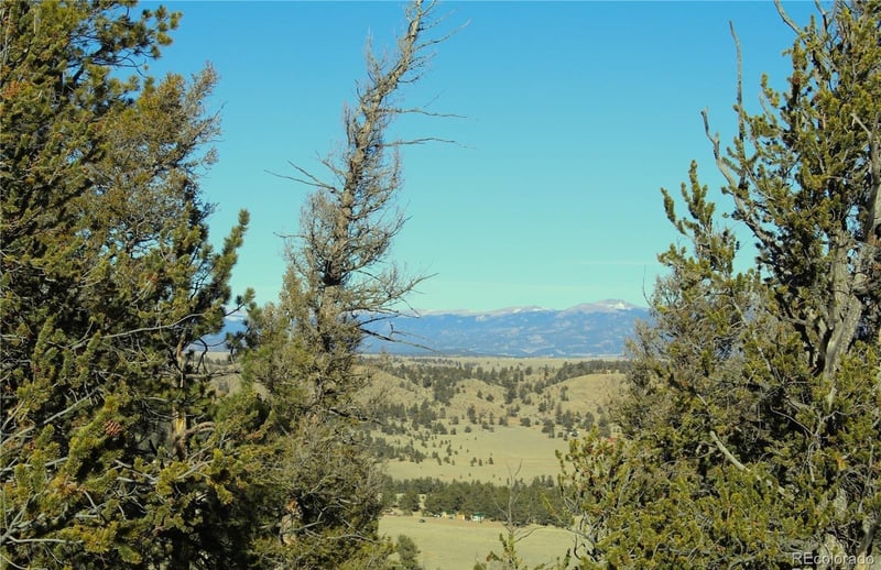 Lot 41 Willow St, Hartsel, CO 80449