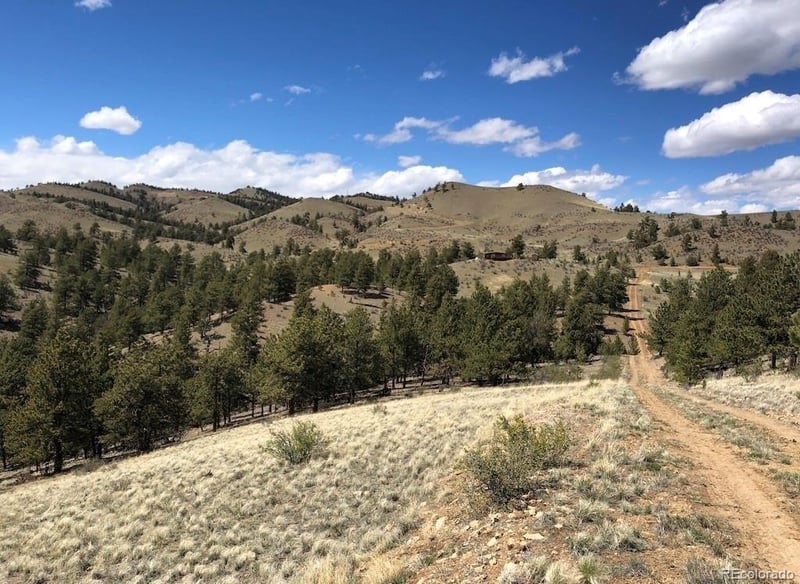 Lot 41 Willow St, Hartsel, CO 80449