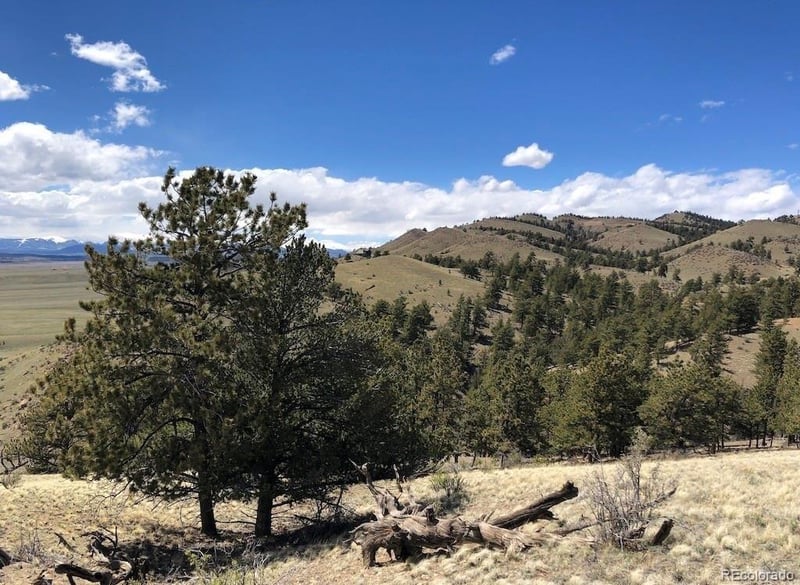 Lot 41 Willow St, Hartsel, CO 80449