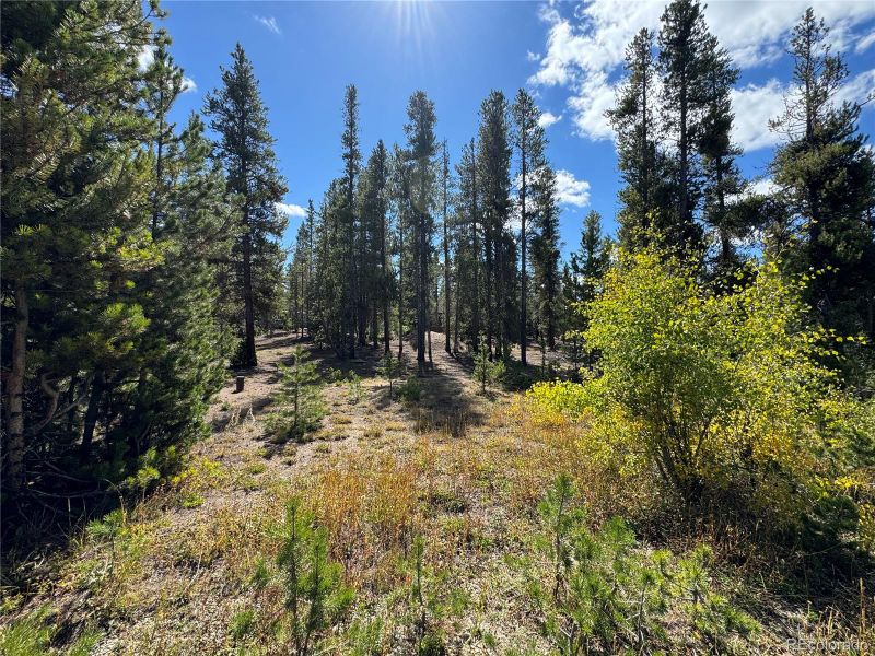 517 Augusta Dr, Leadville, CO 80461