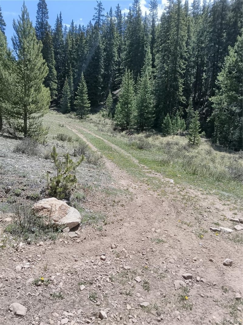 6020 Black Swan, Leadville, CO 80461
