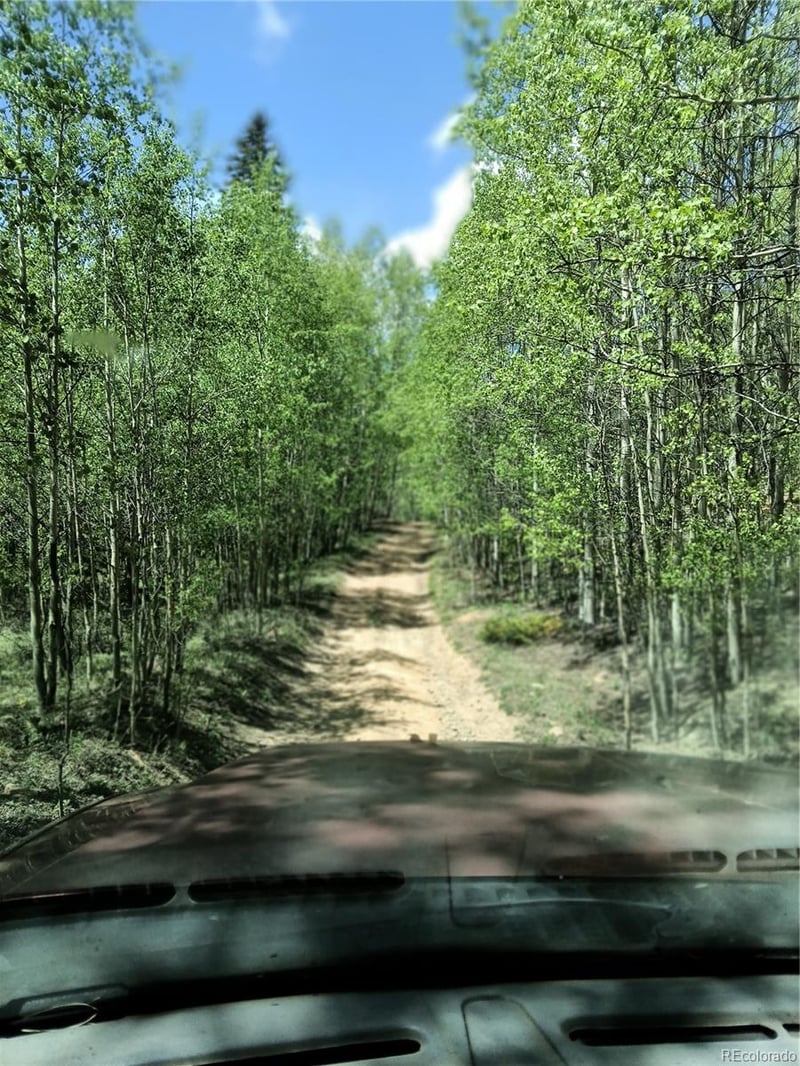 6020 Black Swan, Leadville, CO 80461