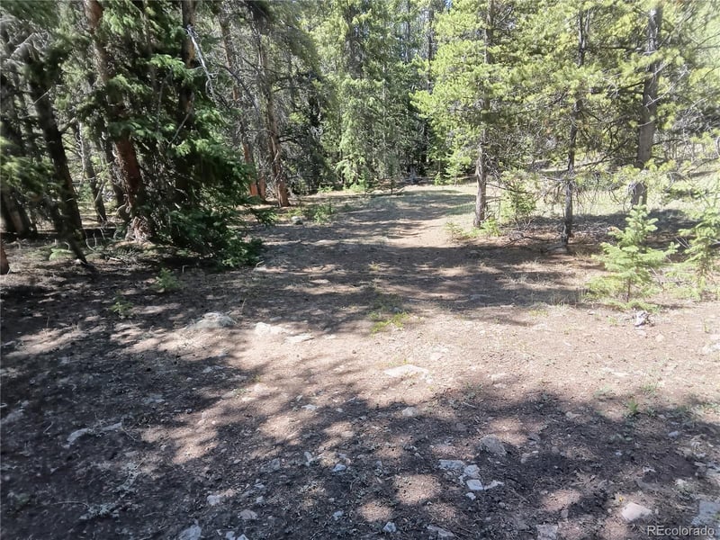 6020 Black Swan, Leadville, CO 80461