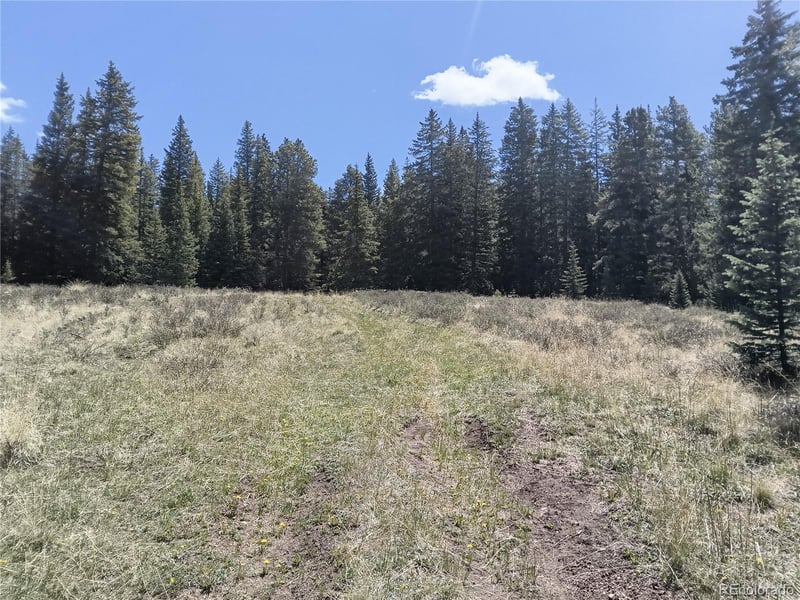6020 Black Swan, Leadville, CO 80461