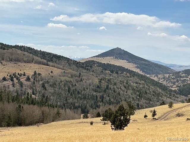 00 Rhyolite Mountain Mesa, Cripple Creek, CO 80813