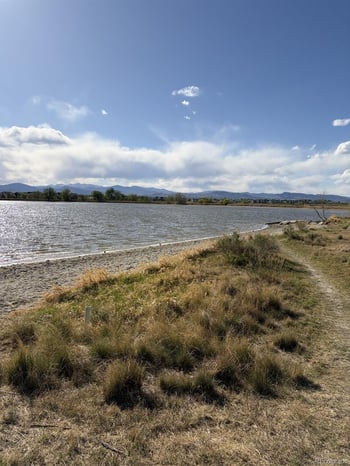 3943 Owl Creek Ct, Loveland, CO 80538