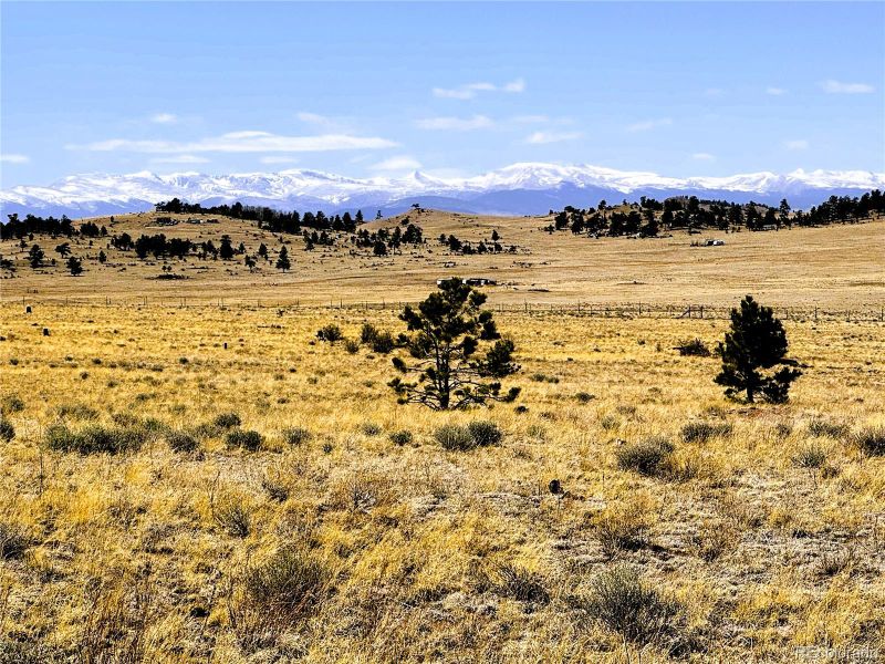Lot 77 Black Bear Rd Lot 77, Hartsel, CO 80449
