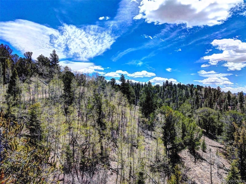 182 Starling Way, Como, CO 80432