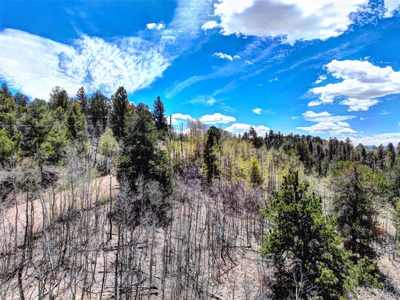 182 Starling Way, Como, CO 80432