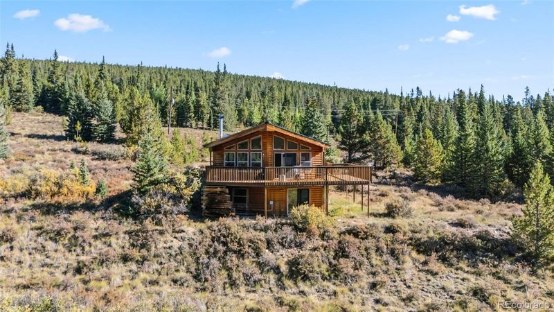 162 S Silk Sisters Pl, Fairplay, CO 80440