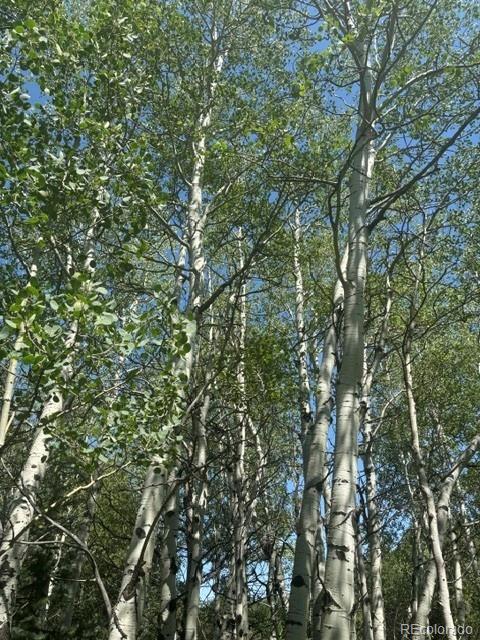 105 Caribou St, Nederland, CO 80466