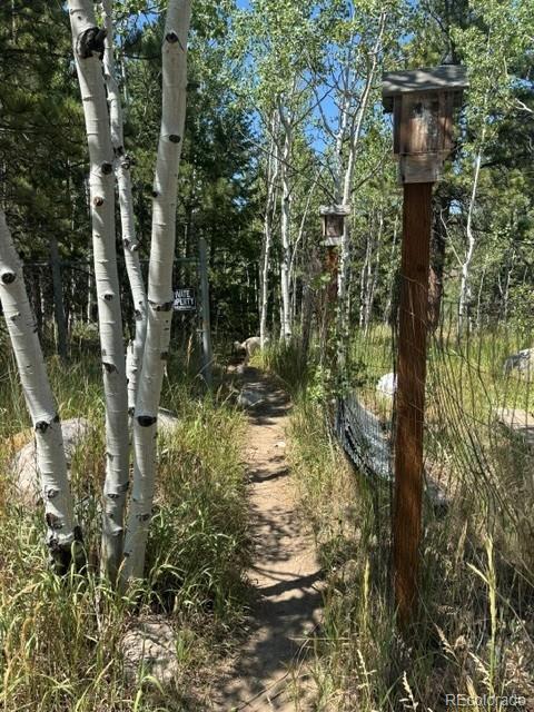 105 Caribou St, Nederland, CO 80466