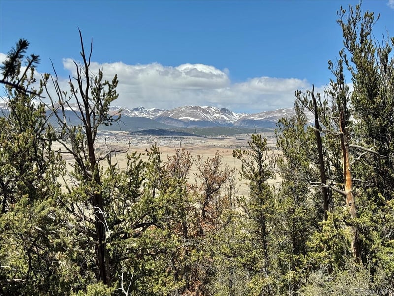 5013 Middle Fork Vi, Fairplay, CO 80440