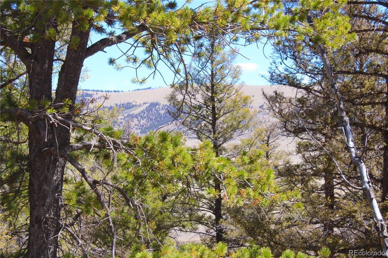 2882 Middle Fork Vi Lot 228, Fairplay, CO 80440