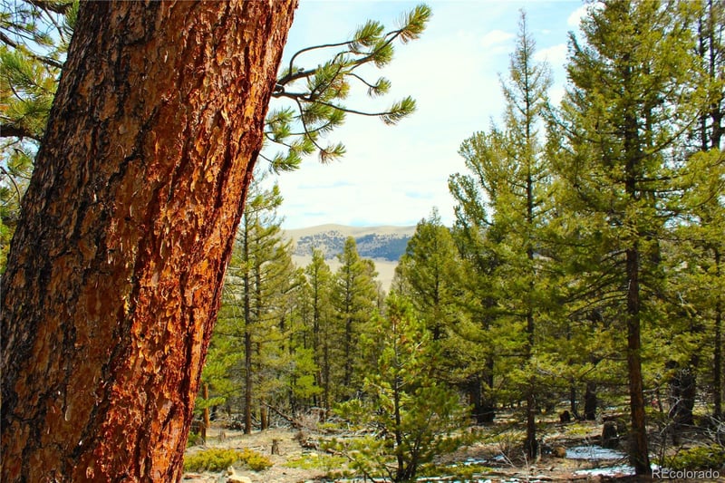2882 Middle Fork Vi Lot 228, Fairplay, CO 80440