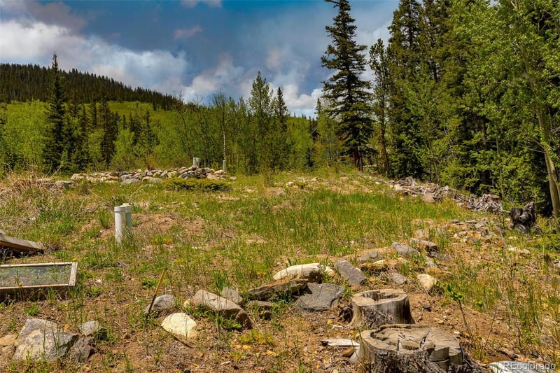 522 Quartzville Rd Lot 19, Alma, CO 80420