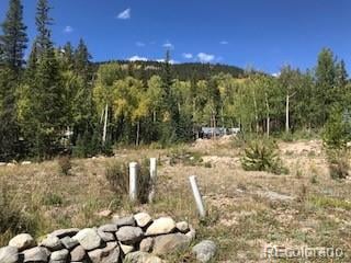 522 Quartzville Rd Lot 19, Alma, CO 80420
