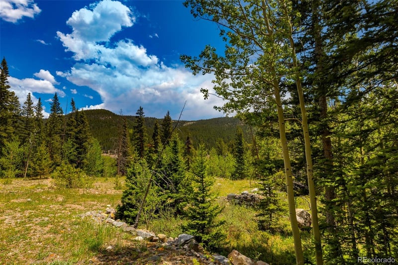 522 Quartzville Rd Lot 19, Alma, CO 80420