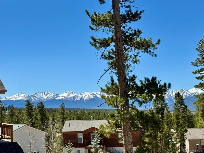 82 Adelaide Ct, Leadville, CO 80461
