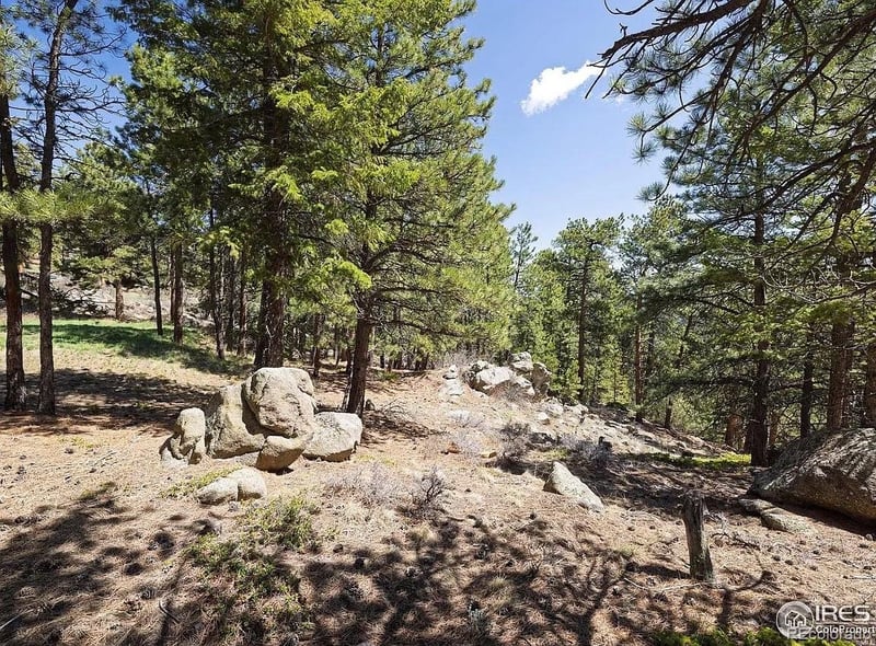 213 Rocky Knob Ln, Nederland, CO 80466