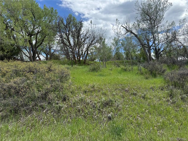 W Ryus, La Veta, CO 81055