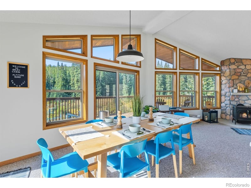 162 S Silk Sisters Pl, Fairplay, CO 80440