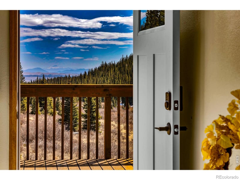 162 S Silk Sisters Pl, Fairplay, CO 80440